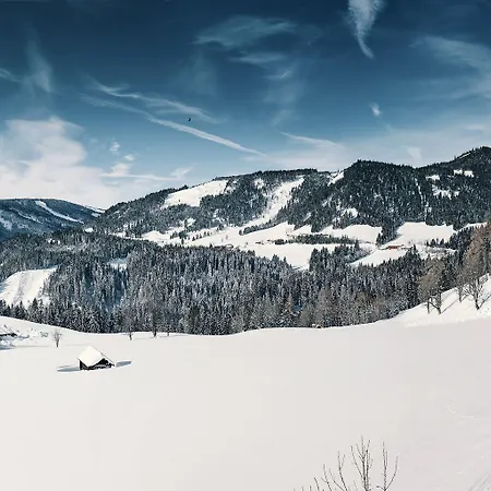 Bartlbauer Ramsau am Dachstein