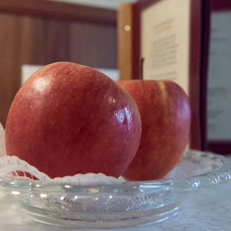 بيت ضيافة Bartlbauer