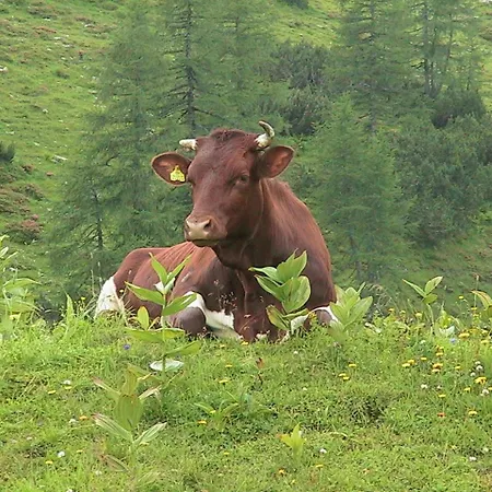 Pensión Bartlbauer 4*