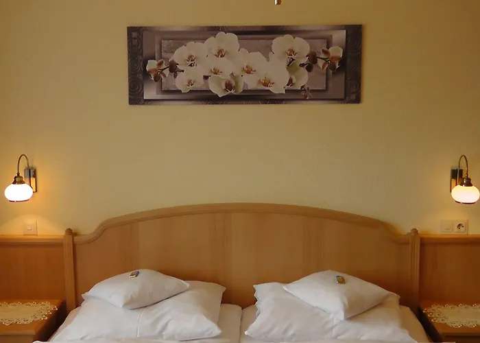 Bartlbauer Guest house Ramsau am Dachstein