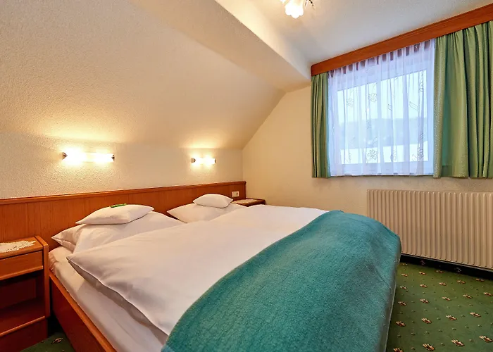 Bartlbauer Guest house Ramsau am Dachstein