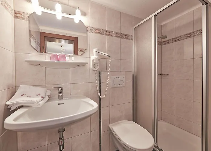 Gasthuis Bartlbauer 4*