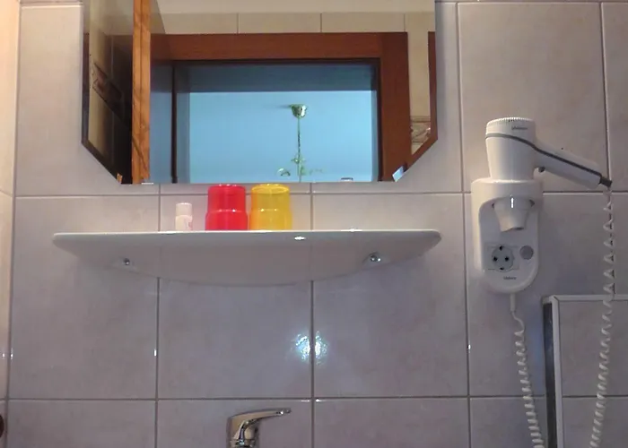 Bartlbauer Guest house Ramsau am Dachstein