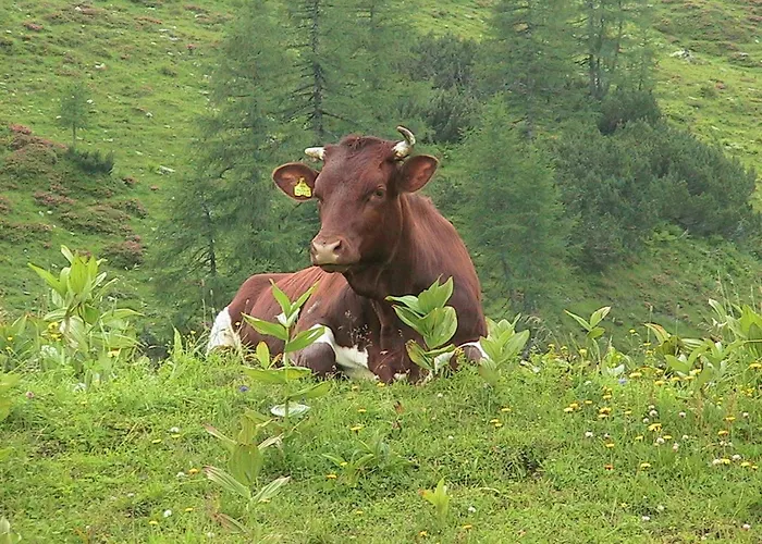 Guest house Bartlbauer 4*